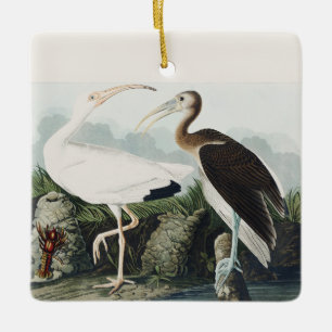 Ornement En Céramique Art de la nature de l'Ibis blanc d'Audubon vintage