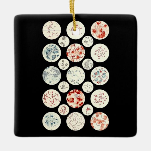 Ornement En Céramique bactéries drôle microbiologie bactéries science mi (Devant)