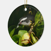 Ornement En Céramique Bananaquit Bird Mange Photographie tropicale (Gauche)