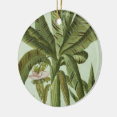 Ornement En Céramique Banane, de Phytanthoza Iconographi de J. (Gauche)