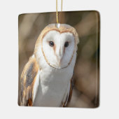 Ornement En Céramique Barn Owl (Gauche)
