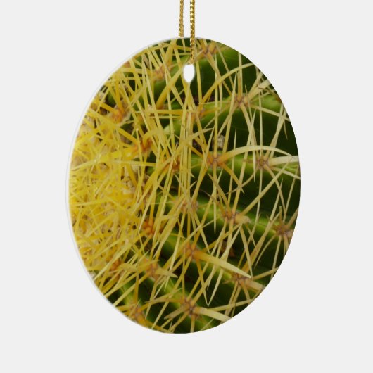 Ornement En Céramique Barrel Cactus Closeup Abstrait Nature Photographie (Droite)