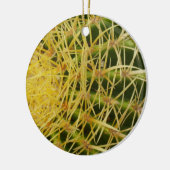 Ornement En Céramique Barrel Cactus Closeup Abstrait Nature Photographie (Gauche)