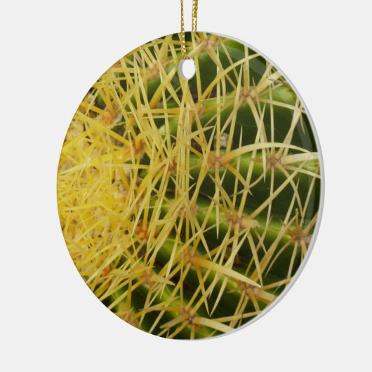 Ornement En Céramique Barrel Cactus Closeup Abstrait Nature Photographie (Gauche)