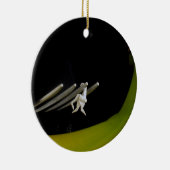 Ornement En Céramique Barres de singe (Droite)