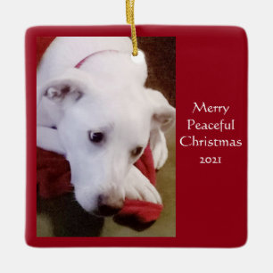 Ornement En Céramique Beau Snowy White Chien Chien Paix Noël