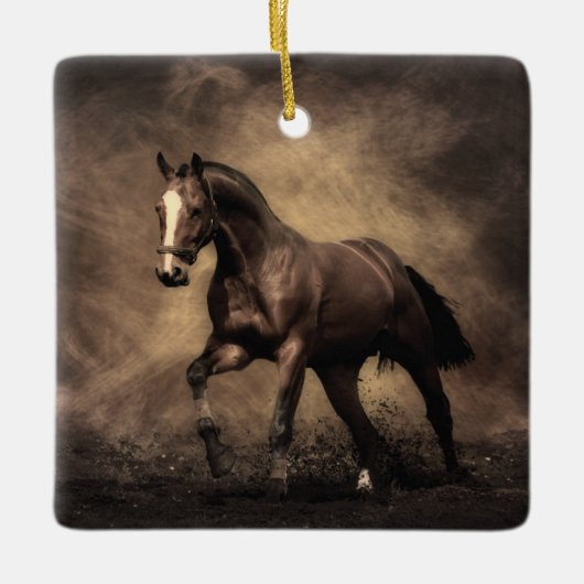 Ornement En Céramique Beautiful horse throw pillow (Devant)