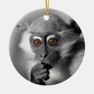 Ornement En Céramique Bébé Mangabey