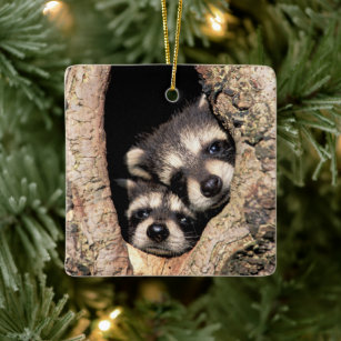Ornement En Céramique Bébé Raccoons se jetant dans l'arbre