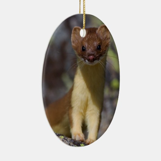 Ornement En Céramique belette Long-coupée la queue (Droite)