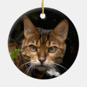 Ornement En Céramique Belle Chat Bengale (Dos)