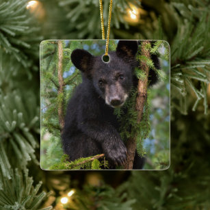 Ornement En Céramique Black Bear Cub Jouer dans les arbres