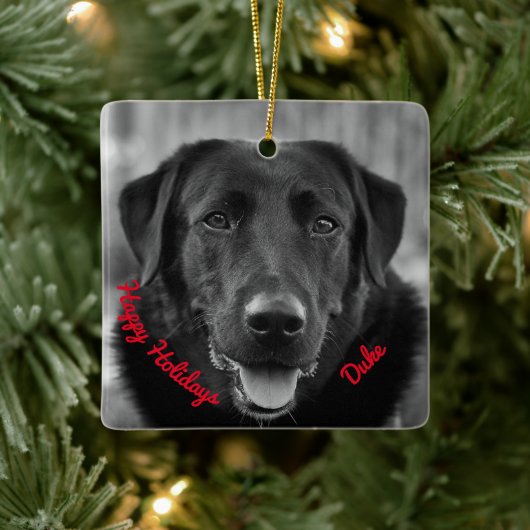 Ornement En Céramique Black Labrador Photo Pet Dog Ceramic (Arbre)