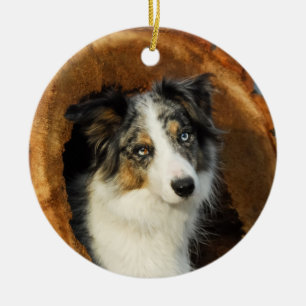 Ornement En Céramique Bordure Collie Bleu Merle Chien pendre Décor