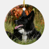 Ornement En Céramique Bordure Collie Panne S'Étalant (Dos)