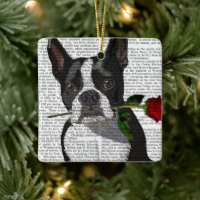 Boston Terrier avec Rose dans la bouche