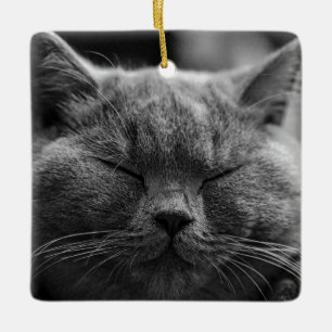 Ornement En Céramique British Shorthair Noir et blanc Portrait de ch