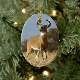 Ornement En Céramique Buck Whitetail