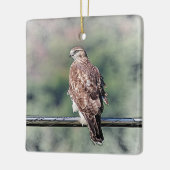 Ornement En Céramique Buse à queue rouge immature (Gauche)