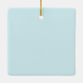 Ornement En Céramique Cache rhino (Dos)