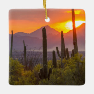 Ornement En Céramique Cactus du désert au coucher du soleil, Arizona