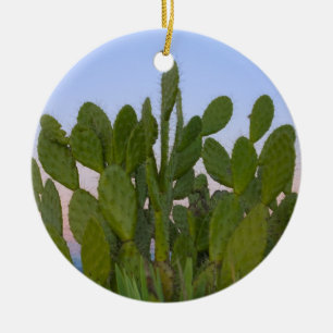 Ornement En Céramique Cactus et sisal en forêt sèche