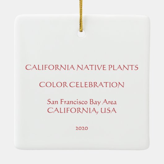 Ornement En Céramique California Native Colours 2020 (Dos)