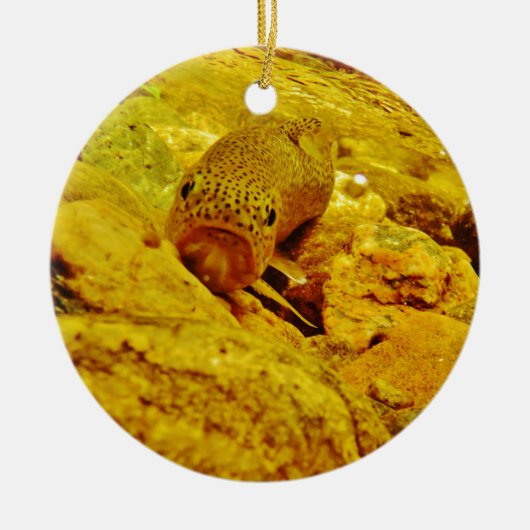 Ornement En Céramique Canal en flux (Devant)