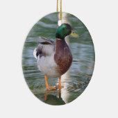 Ornement En Céramique Canard de Mallard (Droite)