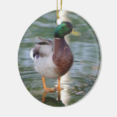 Ornement En Céramique Canard de Mallard (Gauche)
