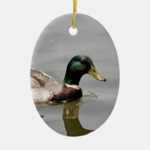 Ornement En Céramique Canard flottant