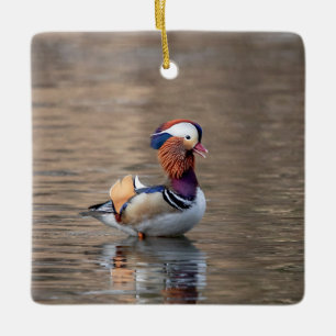 Ornement En Céramique Canard mandarin