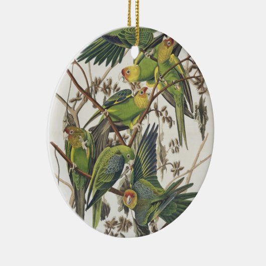 Ornement En Céramique Carolina Parakeet, de 'Birds of America', 1829 (Droite)