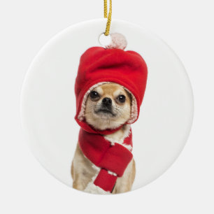 Ornement En Céramique Casquette et écharpe de port de Noël de chiwawa