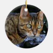 Ornement En Céramique Cat du Bengale (Dos)