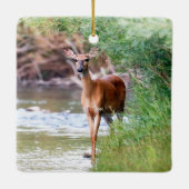 Ornement En Céramique Cerf à queue blanche Doe (Dos)