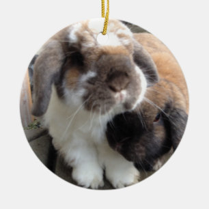 Ornement En Céramique Ces deux apporteront beaucoup de furriness à votr