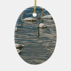 Ornement En Céramique Chant du cygne