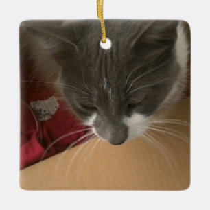Ornement En Céramique Chat dans la boîte