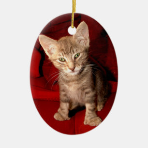 Ornement En Céramique Chat de Hemingway