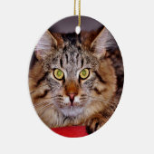 Ornement En Céramique Chat du Maine-Coone (Droite)