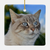 Ornement En Céramique Chat Lynx Point avec yeux bleus (Dos)