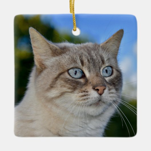 Ornement En Céramique Chat Lynx Point avec yeux bleus (Devant)