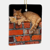 Ornement En Céramique Chat sur mur de brique (Droite)