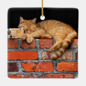 Ornement En Céramique Chat sur mur de brique (Dos)