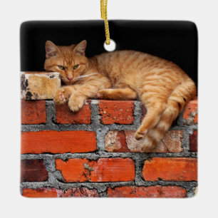 Ornement En Céramique Chat sur mur de brique