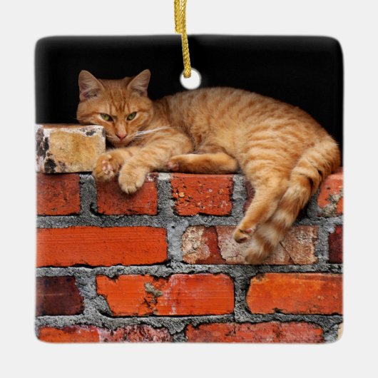 Ornement En Céramique Chat sur mur de brique (Devant)