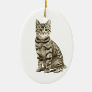 Ornement En Céramique Chat tigré