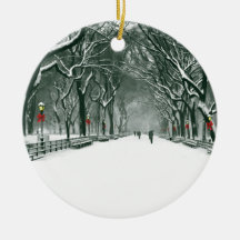 Chemin de neige de Central Park