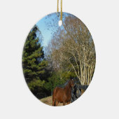 Ornement En Céramique Cheval Brown contre une clôture (Droite)